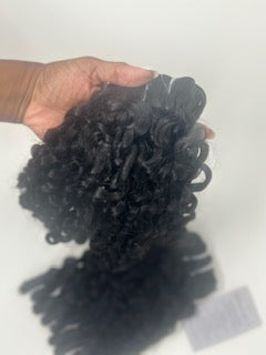 Burmese Curl Bundle